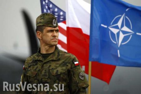 Президент Польши попросит у Трампа больше американских солдат