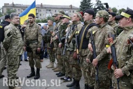 $50 млрд убытка, тысячи убитых солдат и кровавые провокации: как Киев разучился считать