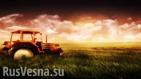 Россия, спаси! — письмо фермеров Херсонской области (ДОКУМЕНТ)