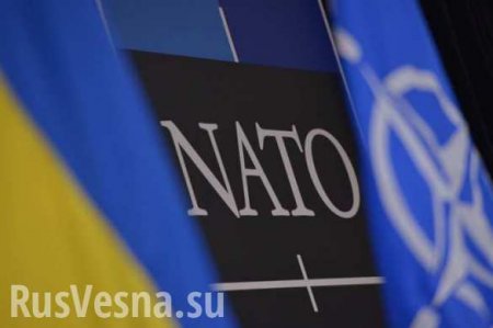 Украина ведет переговоры с НАТО по поставкам оружия