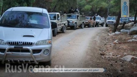 Сирия: «Аль-Каида» громит ИГИЛ, в Идлибе схвачен русский главарь и 120 боевиков (+ВИДЕО, ФОТО)