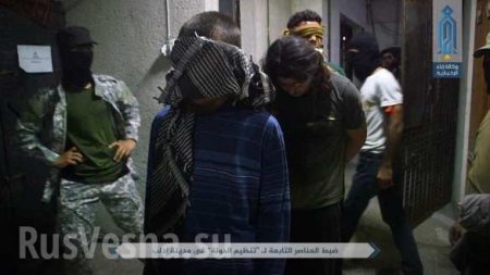 Сирия: «Аль-Каида» громит ИГИЛ, в Идлибе схвачен русский главарь и 120 боевиков (+ВИДЕО, ФОТО)