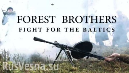 «Параноидальная русофобия» — в «Единой России» прокомментировали ролик НАТО о «лесных братьях»