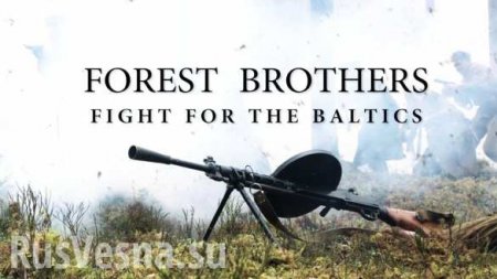 Вся правда о «Лесных братьях»: разоблачение лжи НАТО (ДОКУМЕНТЫ, ФОТО)
