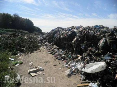 Под Киевом нашли мусор из Львова (ФОТО)