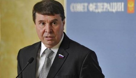 В Совете Федерации прокомментировали заявление главы ДНР о создании Малороссии