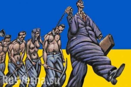 «На Украине внедряют рабство!» — депутат о скандальном законе, принятом Радой