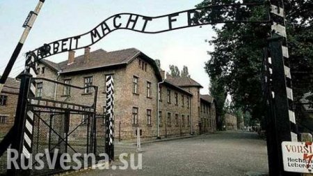 Студентка из Израиля украла экспонаты из Освенцима для своей выставки (ФОТО)