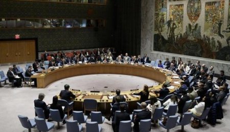 Теперь они до ООН добрались: Украина обвинила Совбез ООН в бездействии относительно самоопределения Крыма и Донбасса