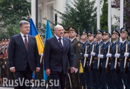 Порошенко и Лукашенко начали переговоры в Киеве (ФОТО, ВИДЕО)