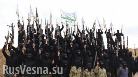Бойня в Идлибе: «Аль-Каида» обретает огромное влияние, захватывая 30 городов и поселков, поглощая 15 исламистских банд (ФОТО)