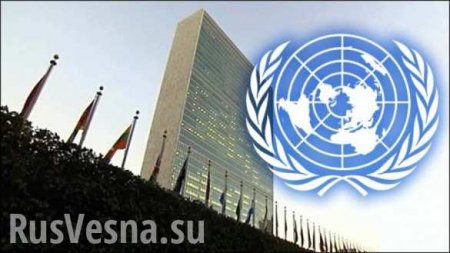 В ООН прокомментировали требования Порошенко о вводе миротворческого контингента в Донбасс