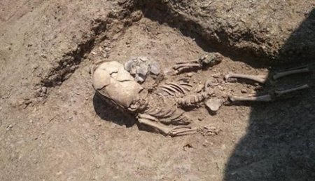 В Крыму нашли античное захоронение младенца с сильно вытянутым черепом