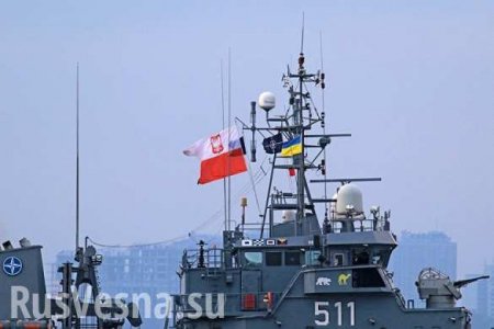 «Не ходите никогда на Россию!» — ветераны Черноморского флота о кораблях НАТО (ВИДЕО)