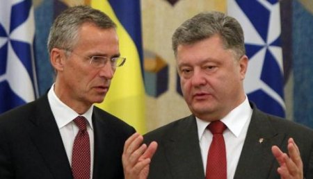 Ничего не пожалеем: На однодневный визит главы НАТО МИД Украины потратил 2% годового бюджета
