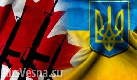 Украина выпрашивает летальное оружие у Канады