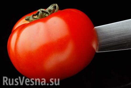 Турция грозит России санкциями за запрет ввоза помидоров