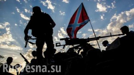 СРОЧНО: Украинские ДРГ понесли потери, пытаясь прорваться на территорию ДНР