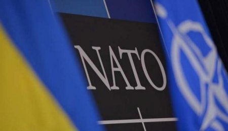 К чему НАТО готовит ВСУ?