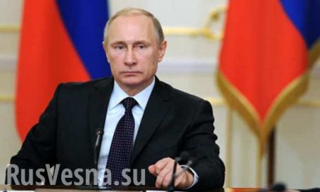 Путин обзавелся в Крыму тигрёнком (ФОТО)