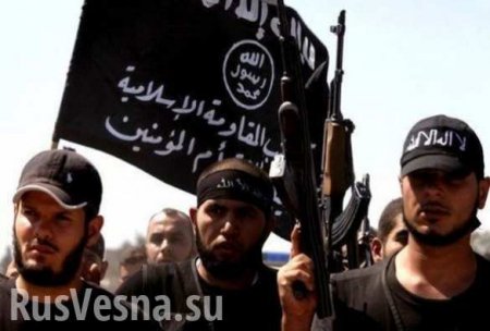 По данным разведки: ИГИЛ просит «Аль-Каиду» о помощи в прорыве «акербатского котла»