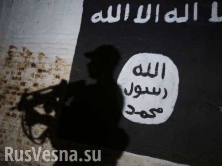 SkyNews: Украина — «коррупционный центр» и перевалочный пункт террористов ИГИЛ на пути в Европу (ФОТО)