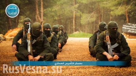 Глава ГРУ рассказал о новой группировке террористов в Сирии и их тактике «пчелиного роя»
