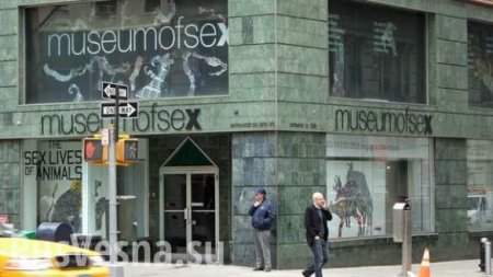 Музей секса в Нью-Йорке обвинили в расизме
