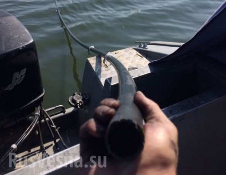 На Украине обнаружен подводный спиртопровод из Молдавии (ФОТО, ВИДЕО)
