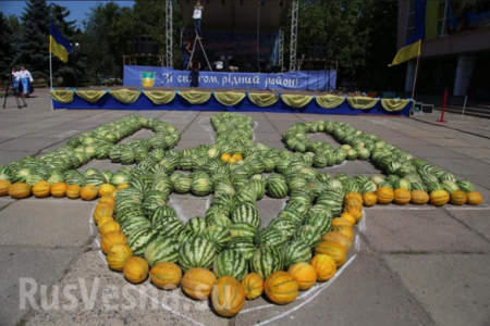 «Рекорд»: На Херсонщине из арбузов и дынь выложили огромный герб Украины (ФОТО)
