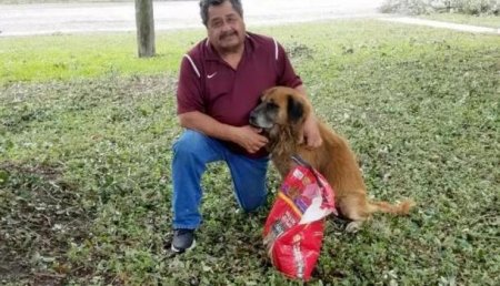Позаботился о главном: Техасский пес сбежал из дома во время урагана с мешком корма в зубах