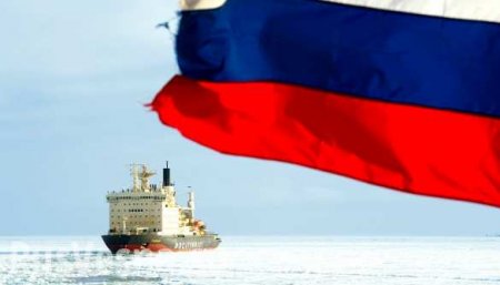 Американские СМИ признали триумф России в Арктике