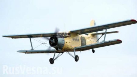 В Балашихе на авиашоу разбился Ан-2 (ВИДЕО)