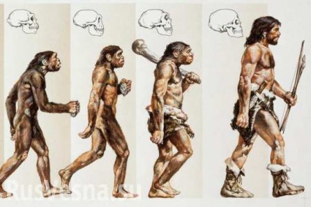 Человек продолжает эволюционировать, — ученые