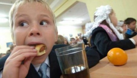 В новом законе об образовании Украины убрали пункт о бесплатном питании школьников