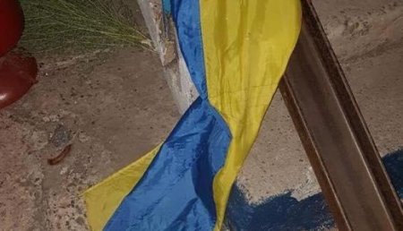 На Украине разгорается скандал из-за пьяниц, справивших нужду на государственный флаг Украины