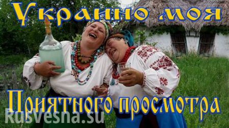 Саакашвили вторгается на Украину — ПРЯМАЯ ТРАНСЛЯЦИЯ. Смотрите и комментируйте с «Русской Весной»