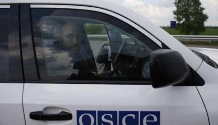 В ОБСЕ не могут подтвердить присутствие российских войск на Донбассе