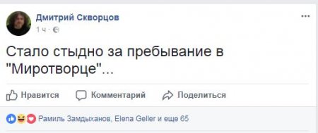 «Я стерпел Петросяна, но это просто трэш». Старожилы «Миротворца» возмущены соседством с Тимошенко и Саакашвили