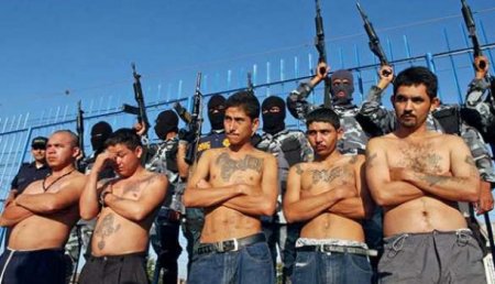 Радикальные методы борьбы: В Мексике наказали воров и наркоторговцев, отрезав им руки (ВИДЕО 18+)