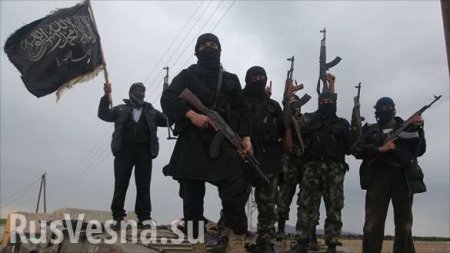 Идлиб: Как сирийская «Аль-Каида» зомбирует боевиков и вербует смертников с помощью курсов шариата
