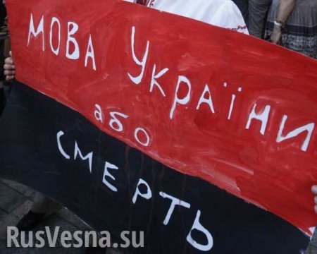 Рідной мовой: как Украина настроила против себя европейские страны (ФОТО)