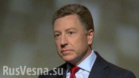 В Совфеде ответили Волкеру на критику российского плана по миротворцам в Донбассе