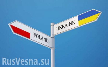 Польша недовольна украинским законом об образовании