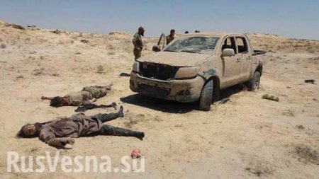 Операция «Возмездие»: ВКС РФ жестоко отомстили за атаку на российских военных, уничтожив ряд главарей «Аль-Каиды» в Идлибе и Хаме