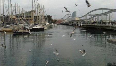 Грузчики в порту Барселоны отказываются обслуживать корабли Нацполиции