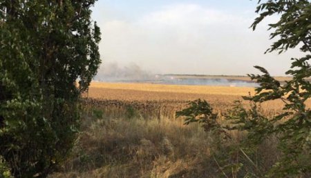 Сельскохозяйственная диверсия: Названы причины пожара на складе боеприпасов под Мариуполем