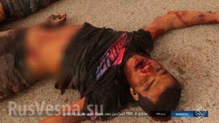 Резня в Сирии: ИГИЛ захватило конвой техники США, убив и пленив охранявшие его силы (ФОТО 18+)