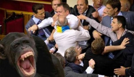 Видео «брутальной» драки киевских депутатов