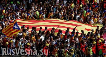 Полиция опечатала более тысячи избирательных участков в Каталонии